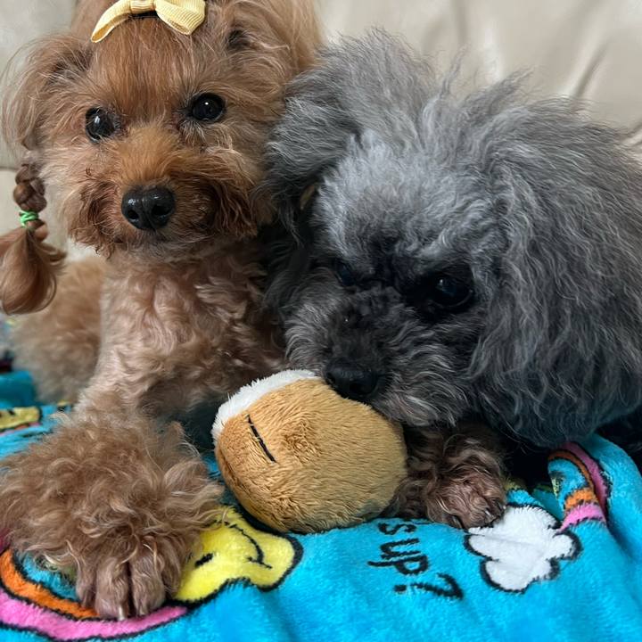 79ab8427 cac5 4aa4 8f2b 41bbfe58544c 1668474184989