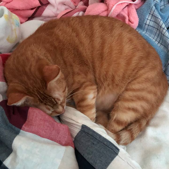 79ab911a ab37 49de 8830 c5b24f4ea99e 1566516619531