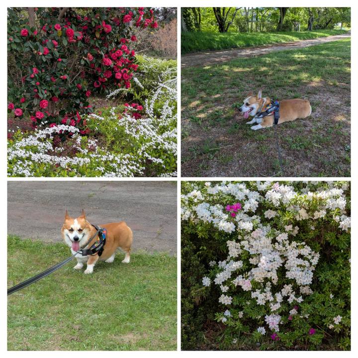 79ab9741 04bb 43e9 89a8 56f9fa679935 1745903761218