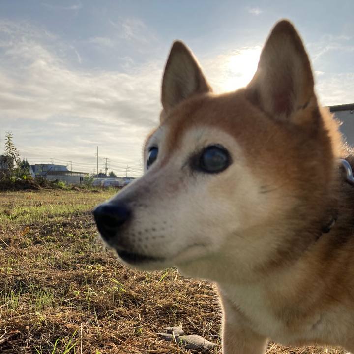 79abe4fc fa7d 4357 ab3a 4e5c9be6200a 1729749829058