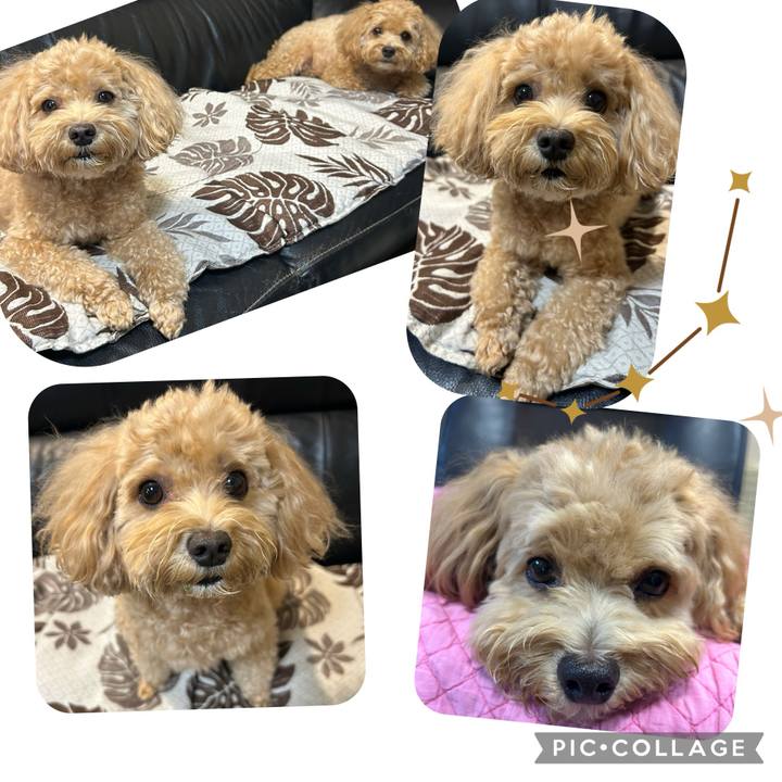 79abea33 20a9 4623 b2ea 8ebe7489d70a 1727103491489