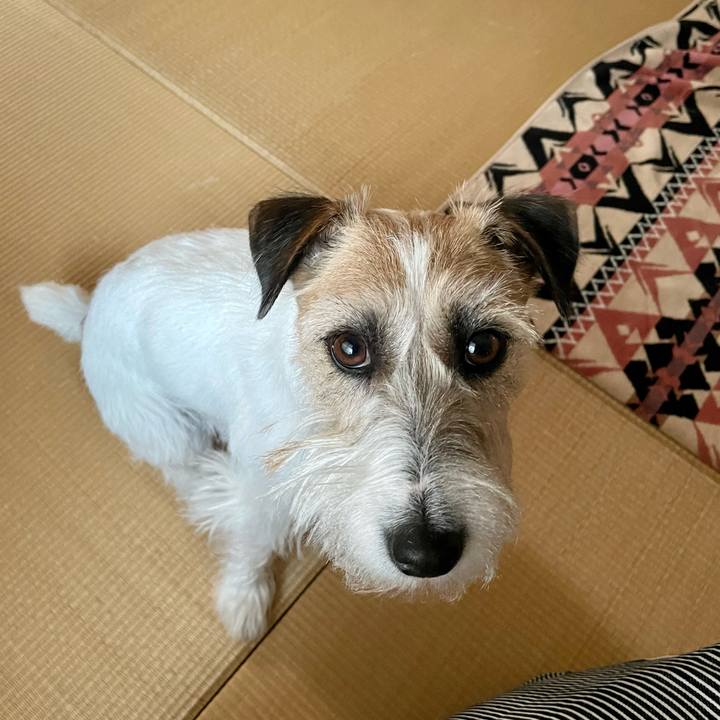 79abf424 5b69 4b84 8412 abe1f4bd5ddb 1645949074603