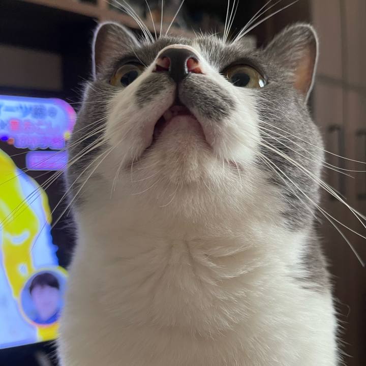 79ac0cac 48a5 459f a4a6 cfddd8ab684f 1659738758513