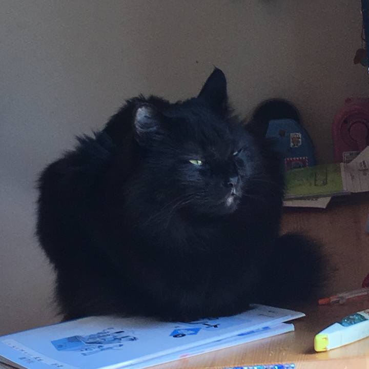 79ac826a 0a60 4350 8178 86eef11ae8e9 1560988637688