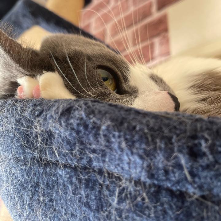 79acb8b5 63bc 4c7e a798 d4f9a2773c8d 1738983043422