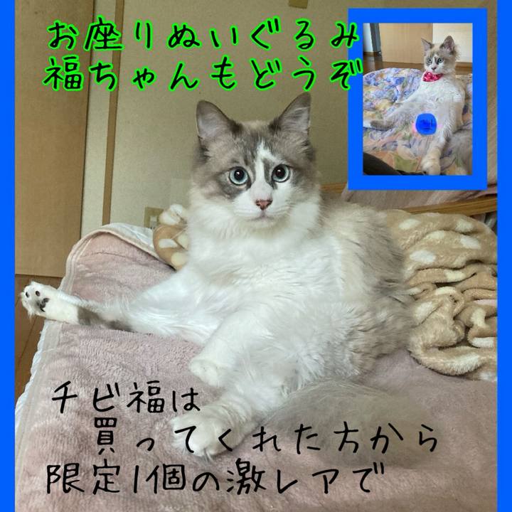79acdb52 c339 4cb2 aab0 1c053580caf3 1717529762115