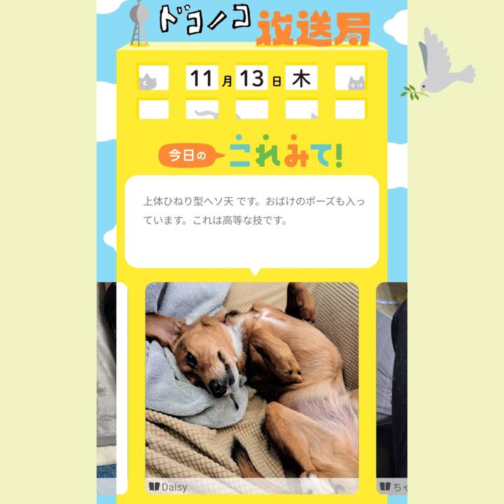 79acef80 b7e8 4f11 8b01 a06eb3035022 1763001950502