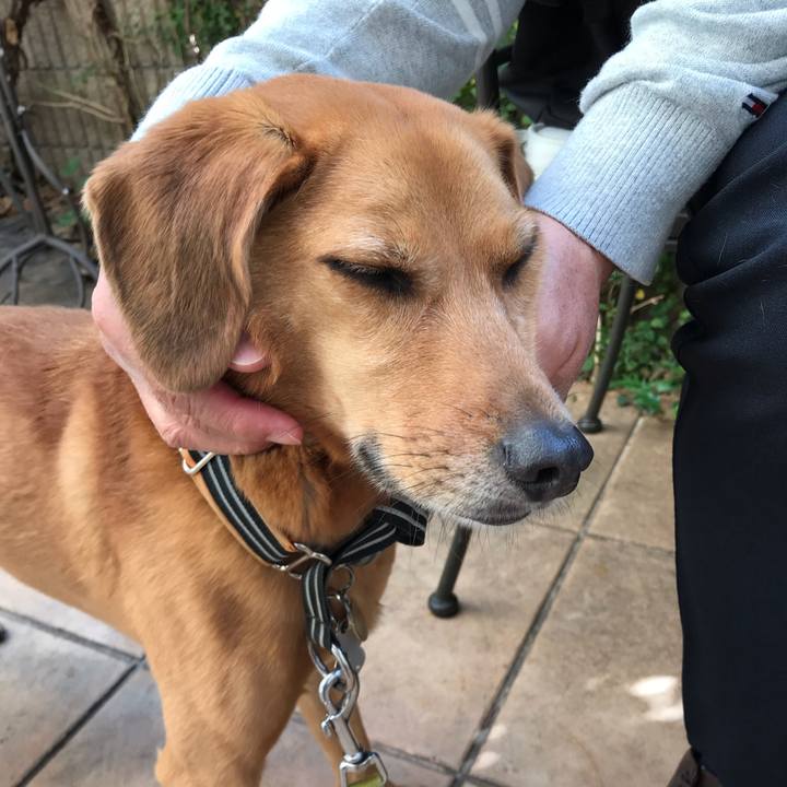 79ad5dc7 4070 472b 84e9 b0a572e01b20 1540014534647