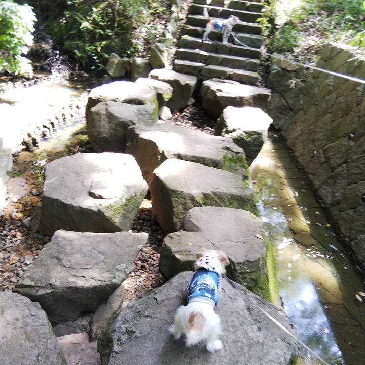 79ad82a1 6b7b 4b01 95e3 62d6369b1286 1526107163125