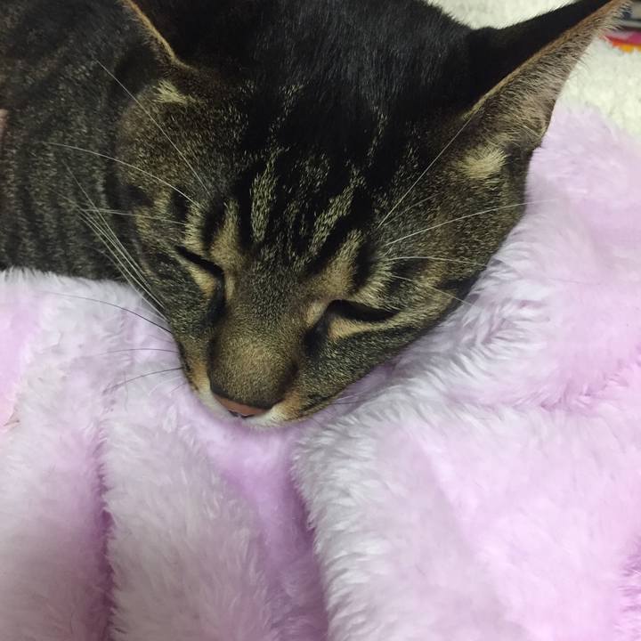 79ad94da fc8d 4208 913a 8202dba85e91 1507990790828