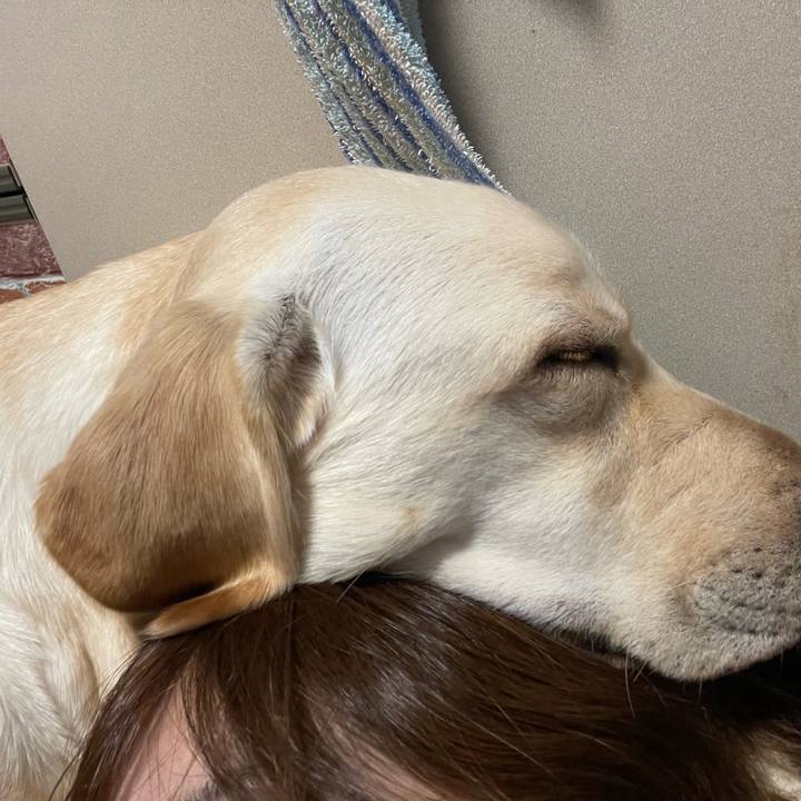 79ad990f 4b94 4a48 bf5a 79d0ecd146db 1644413172354