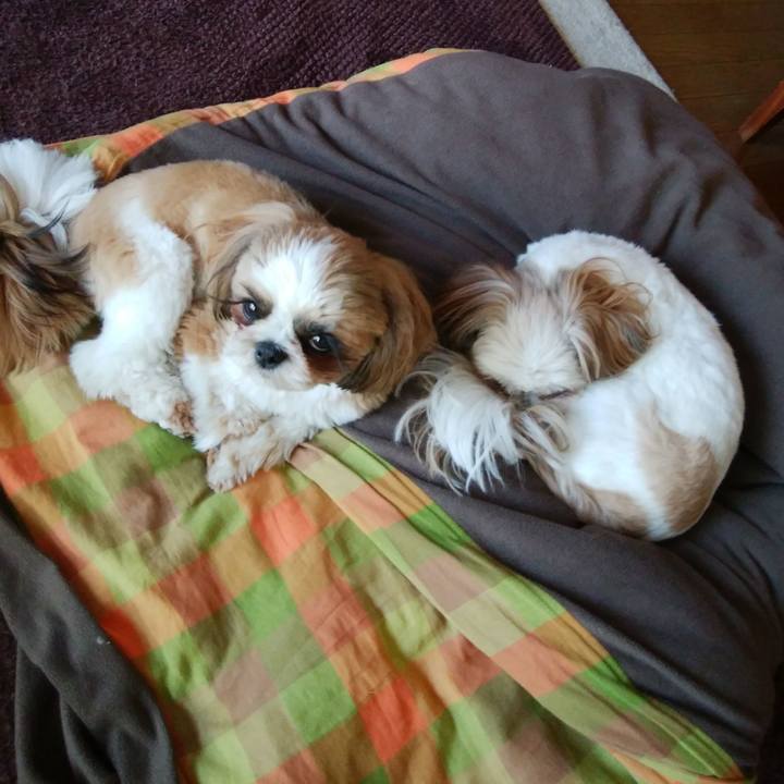 79adadb4 7416 4177 aeab 548c2982399d 1557284301090