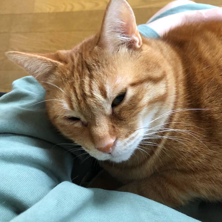 79adc6b4 59b0 4c6f b104 56e8678fbd66 1650576390229