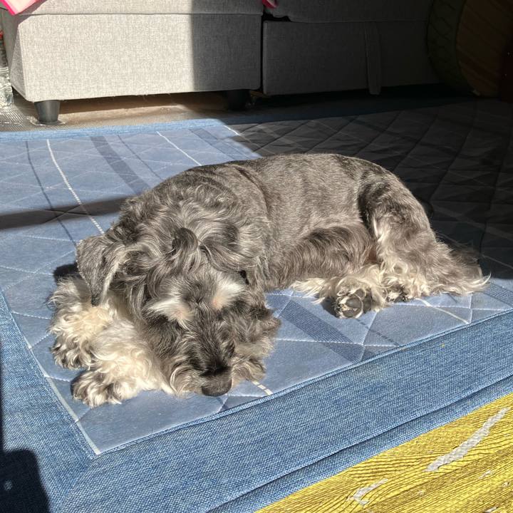 79adf7a4 60aa 4959 a92f 0c7bed631963 1731129619563