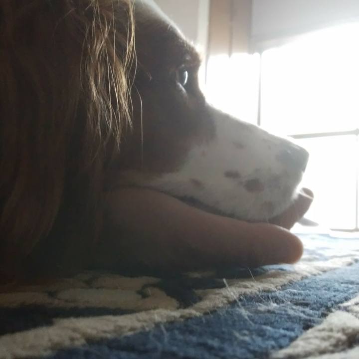 79ae1f45 5442 4d25 baed 483ea5edf7a5 1529972246064