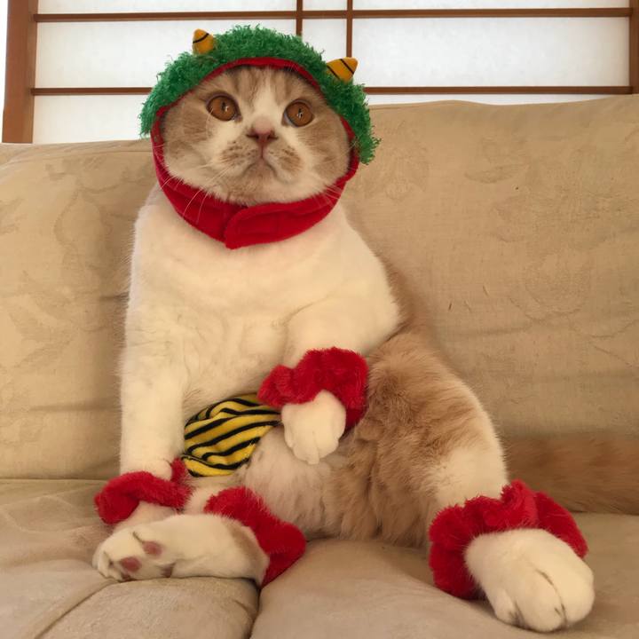 79ae5bae bf3b 4aa8 bde4 e658e60f46af 1515729540760