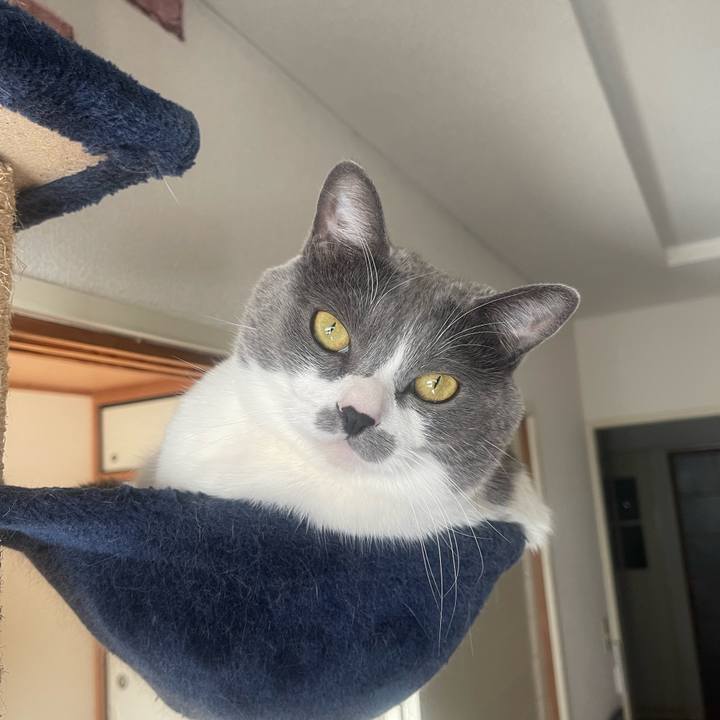 79ae7f18 36a9 47eb 9f39 0d41887a1ff3 1703375848228