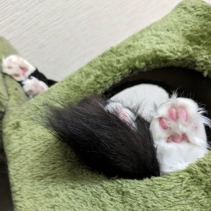 79ae817a d233 4550 9d62 a24349c82ab4 1697418976531