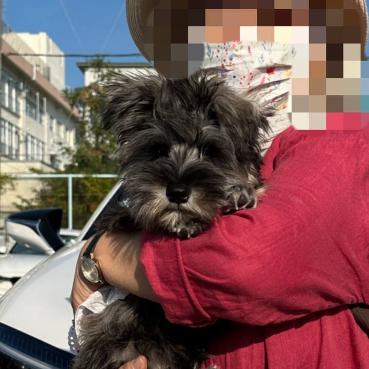 79af037d 4af3 4b1c 8a93 86e672452a82 1697768274948