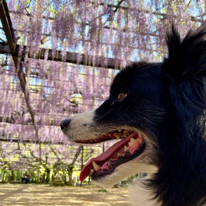 79af2f3f 1458 47f0 b56b f4cb9b13d5ce 1681718890316