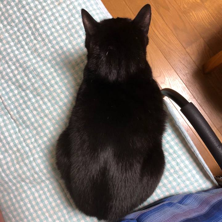 79af44c1 9354 4070 a423 8c2cd5a85af7 1736936838518