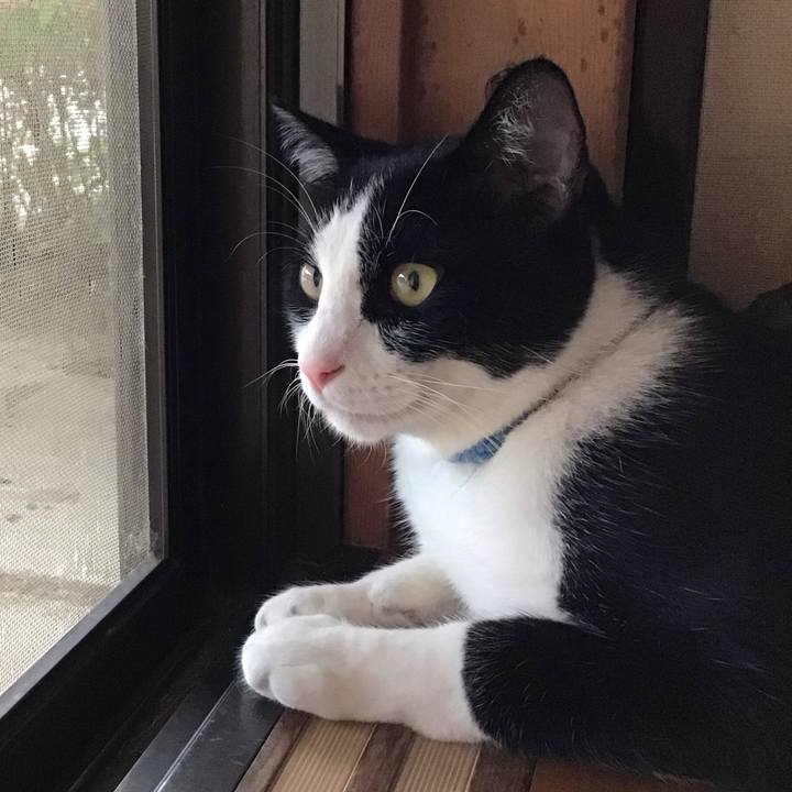 79af4819 1fcb 4e40 ad22 dea41a767ebd 1659178311644