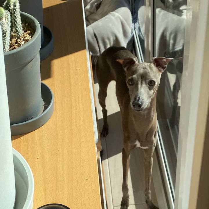 79af55e6 8825 4bf6 8486 b9a90da27d0b 1769247002985