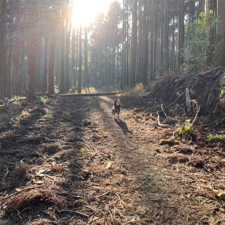 79af9c52 8a2a 4647 99aa 662eedf881f7 1547947156356