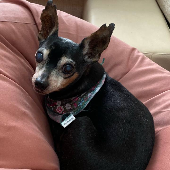 79afcdbe dcde 498c 9030 57f924c58dd7 1581421734517