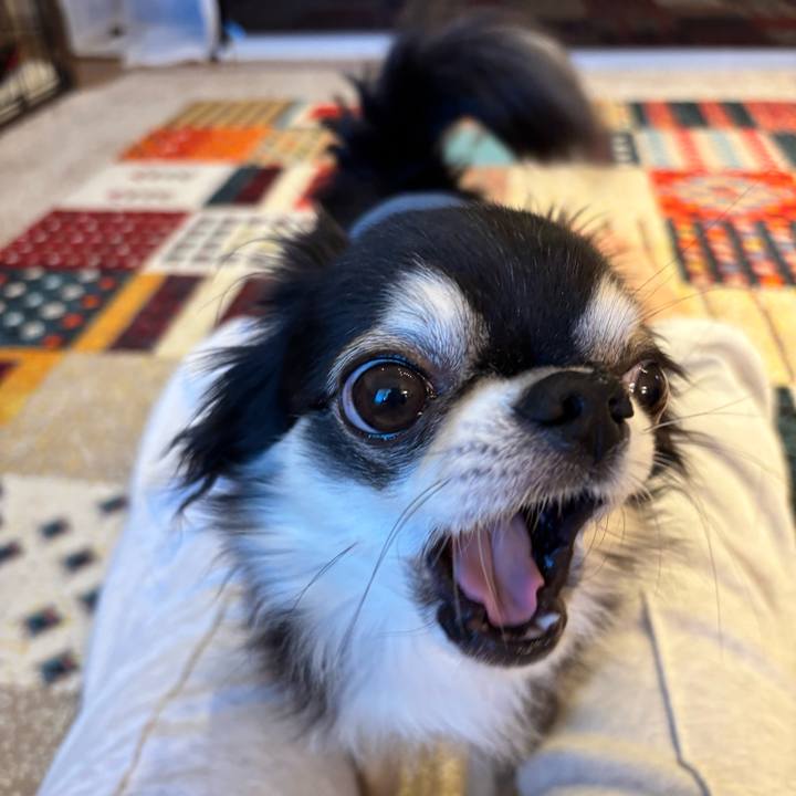 79afdd50 f53d 4ed5 aba0 63d2f0f30919 1732983333879