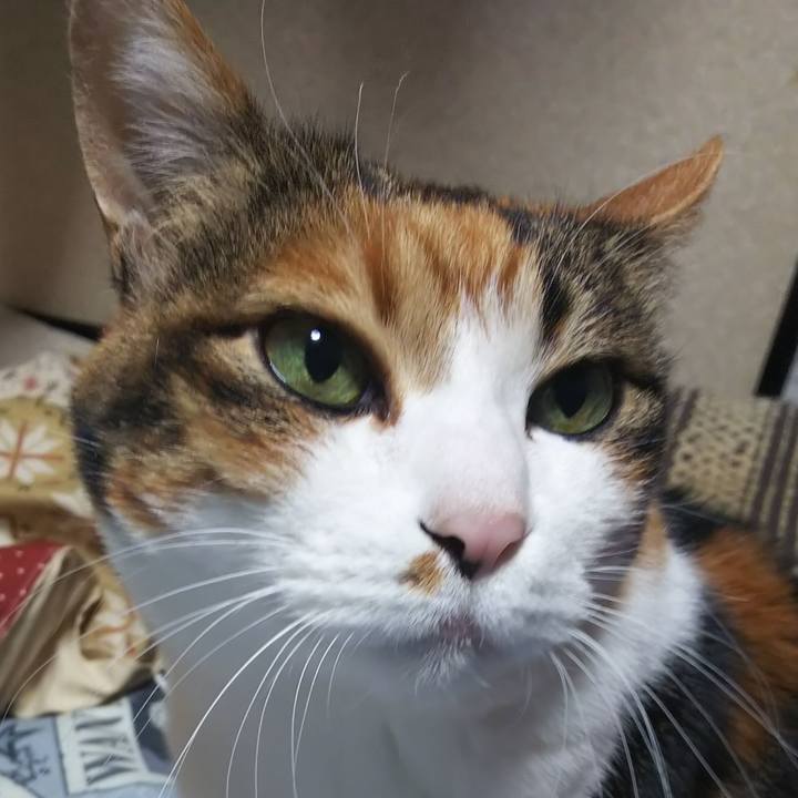 79afe1fc 28e2 4b7e b7fc 627cf7bec818 1582062426261