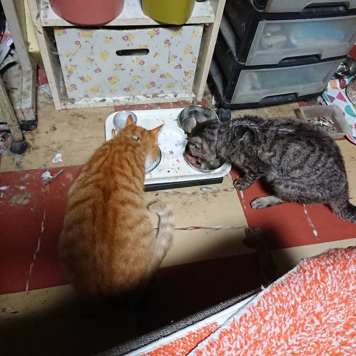 79b00b0b e48d 4629 829a 1a7b5129cb26 1595966789824