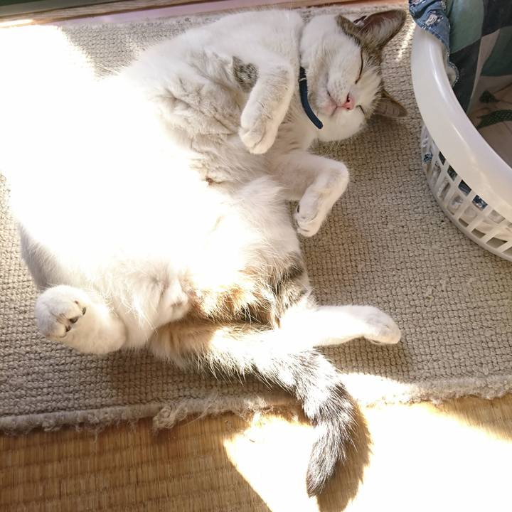 79b01399 29d5 445c a87c 24017eedcc95 1574301100674