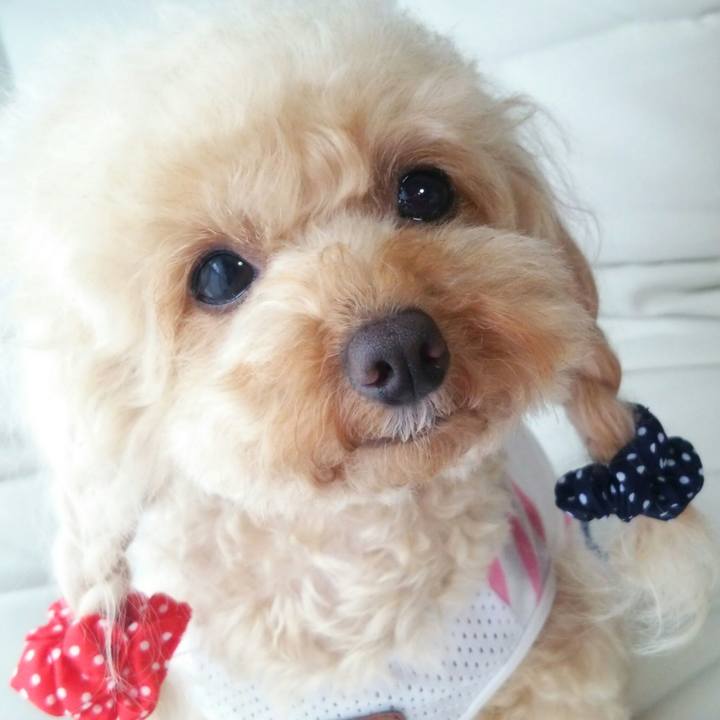 79b02a2d 1a64 4317 8dac a505c294f4a8 1562329938051