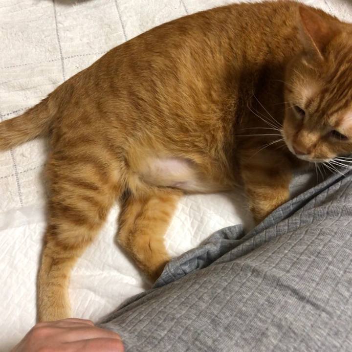 79b0442b 281e 4618 b9d7 50dc4aabe755 1594299770675