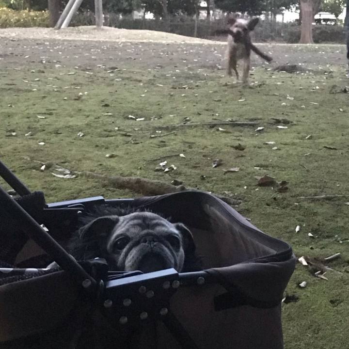 79b044fb 483a 4c4e 9391 e51b2798c03a 1607521218485