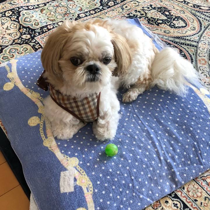 79b0582b 860c 4da7 ba6a 4695ad5f9256 1539034927997