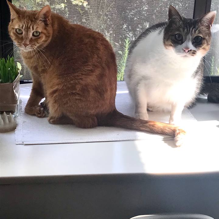 79b0705c 2278 4595 a430 48a108ea482c 1617407517376