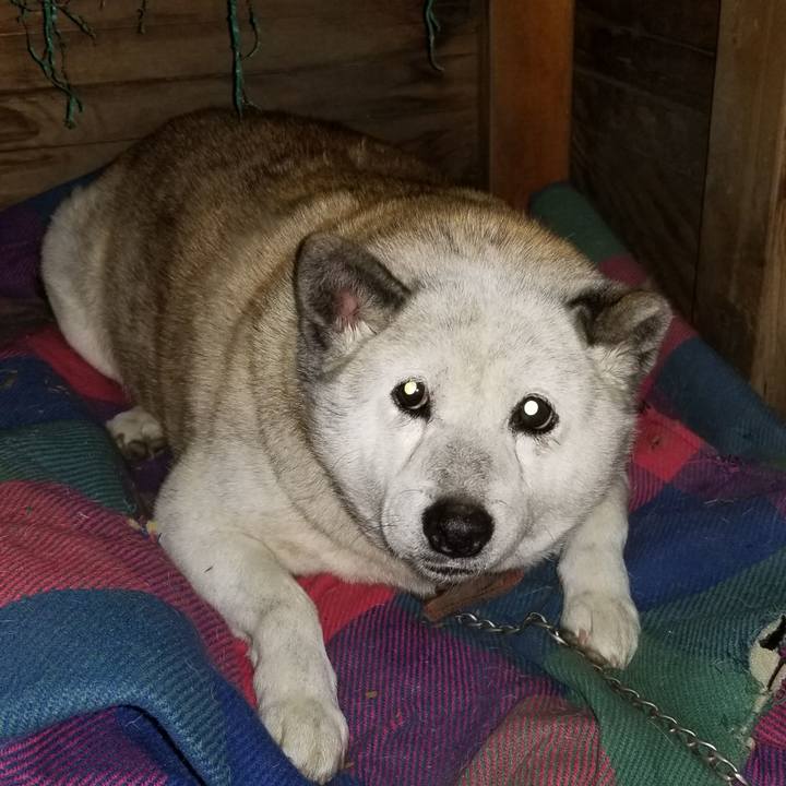 79b0852a 0246 4ce5 b6a1 4b01a0e2b7e6 1702248809942