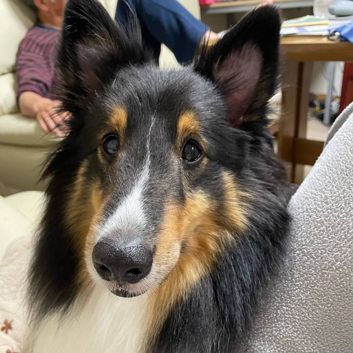 79b08a6b 2249 49e1 a0bb c5748fcdcb8e 1655466949375