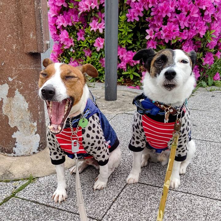 79b08e3e f31d 4b35 aea7 79895f29399b 1651096451150