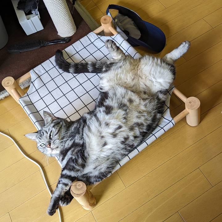 79b0969f 33c1 4934 8423 b5fa015c47c6 1694480803847