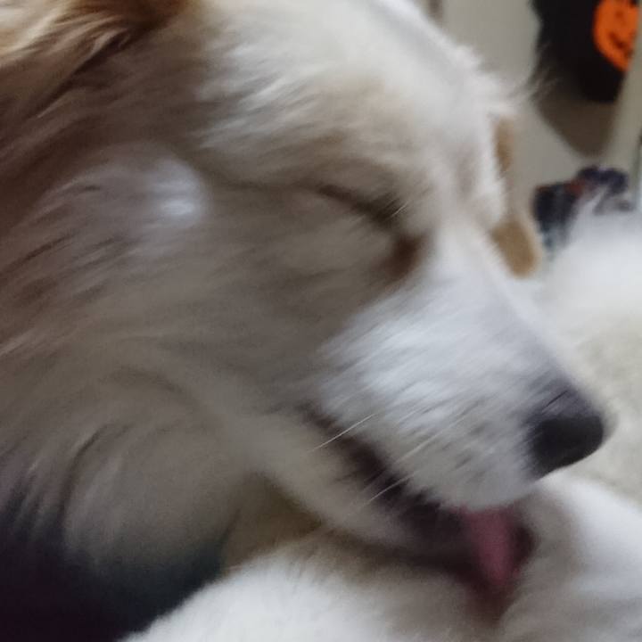 79b0a12e 7c98 4a8c b08f 921d6b8c7bfc 1521493117538