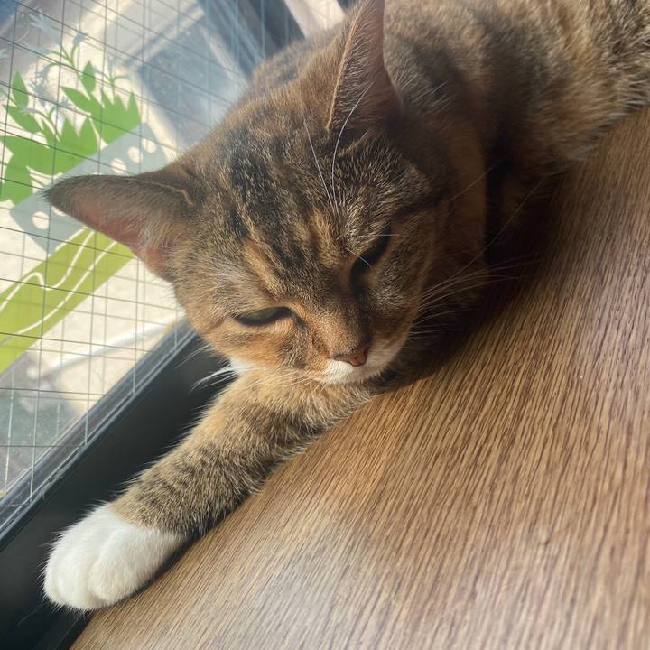 79b121e1 004b 45c6 a2d4 5308e181f755 1595203409894