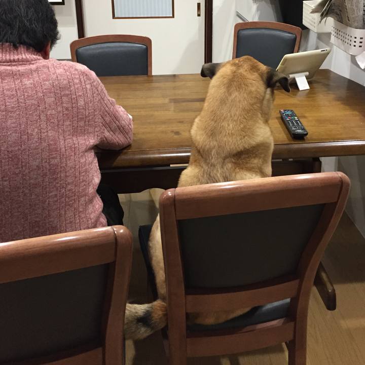 79b16bc3 2a6a 4407 9f7b a94822e63de8 1517996766598