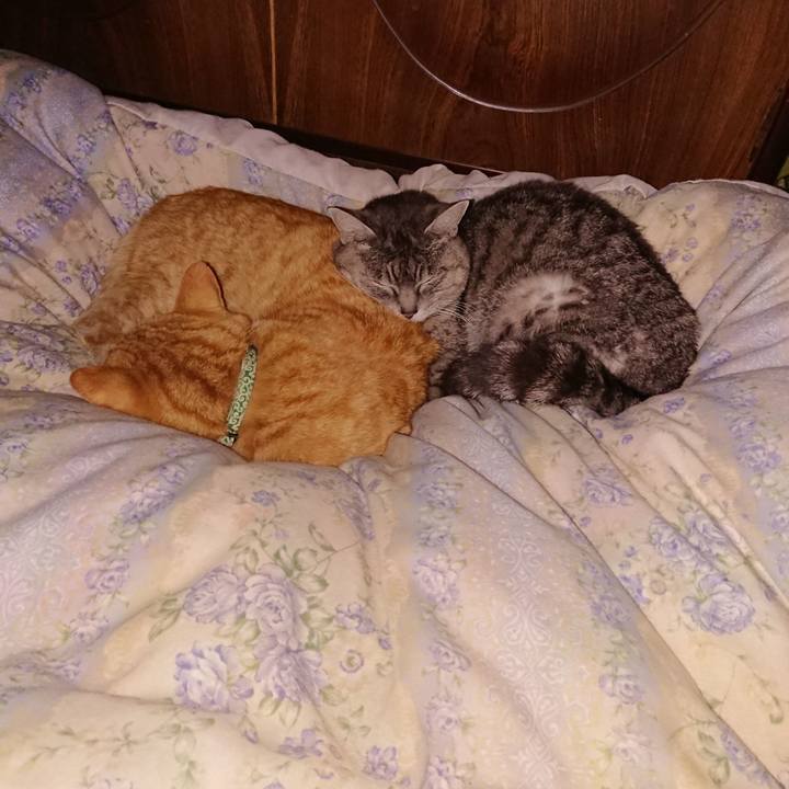 79b1b027 18ac 413b aae4 e9f673c21346 1583426330364