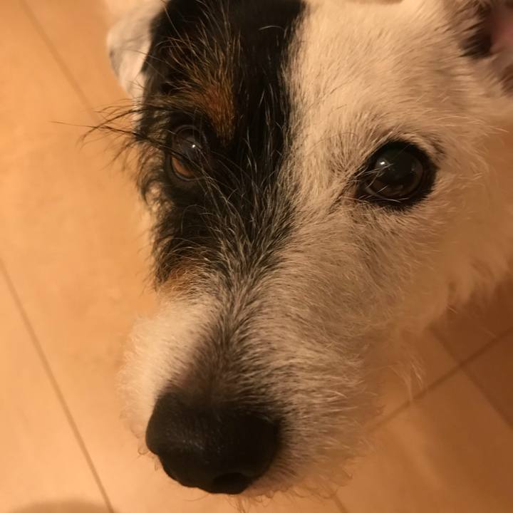 79b20748 fab1 4784 8ea9 72d156b35a05 1528630328176