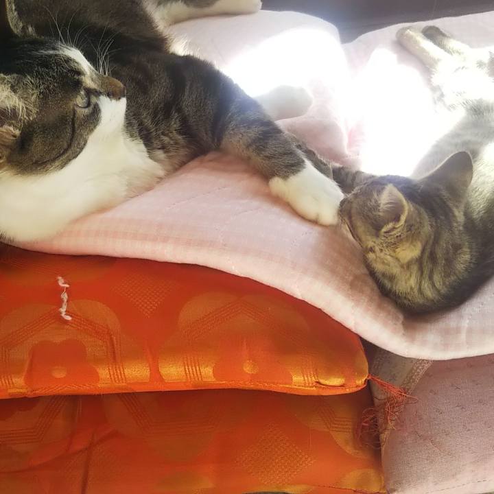 79b223dc 0a12 4397 933f 52addb967995 1635504091431