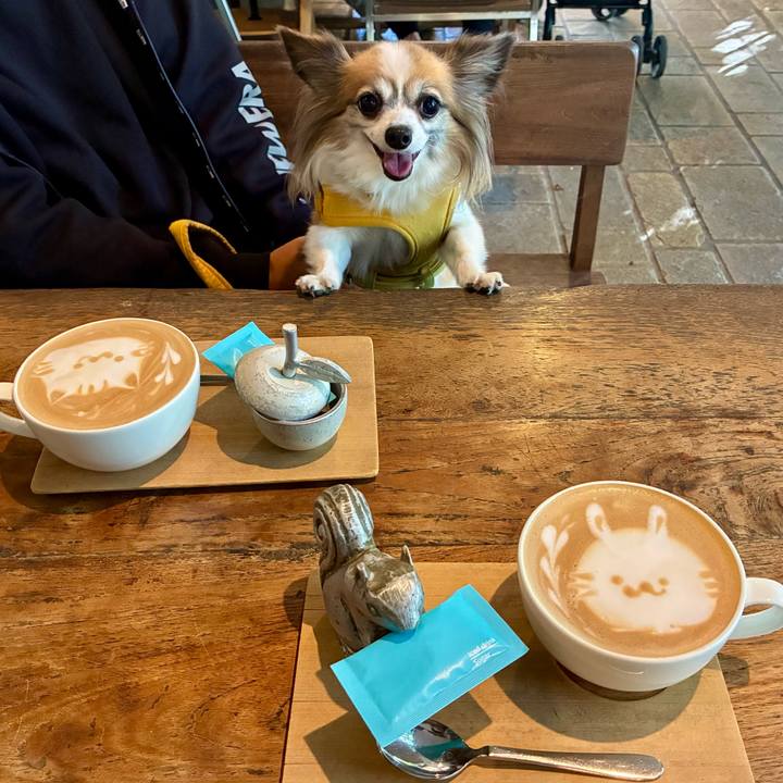 79b2554d b96a 4da5 ac15 e543f5fd52ff 1762237799596