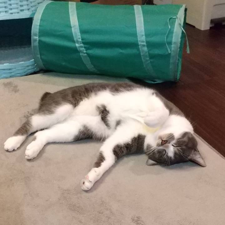 79b28245 114b 4c85 a534 b6e130985899 1632830709947